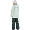 image:imageVolcom Boys Youth Barkley Bib Overall Snowboard PantScarab S5