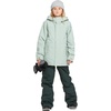 image:imageVolcom Boys Youth Barkley Bib Overall Snowboard PantScarab S5