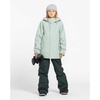image:imageVolcom Boys Youth Barkley Bib Overall Snowboard PantScarab S5