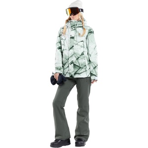 image:imageVolcom womens Species Stretch Snowboard Ski PantEucalyptus S4
