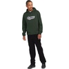 image:imageVolcom Mens Volstoned Hoodie Fleece SweatshirtDark Forest
