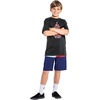 image:imageVolcom Boys Vision Liberators BoardshortBlueprint